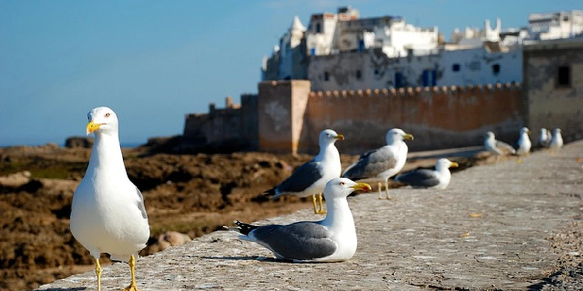Essaouira, Morocco