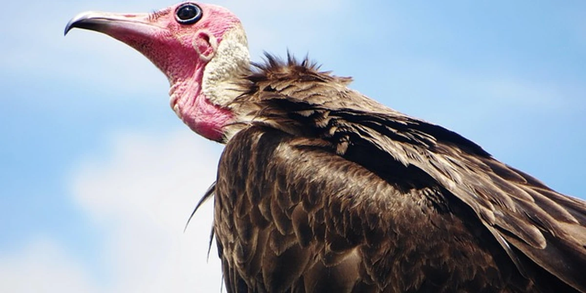 Freetown, Sierra Leone