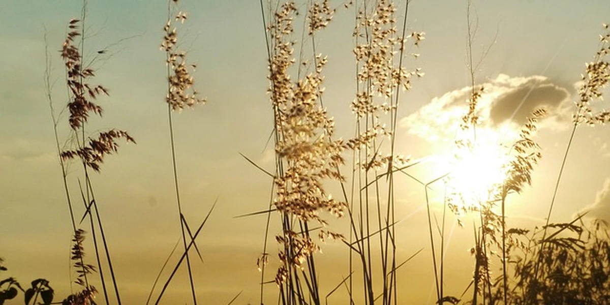 La Union, Philippines