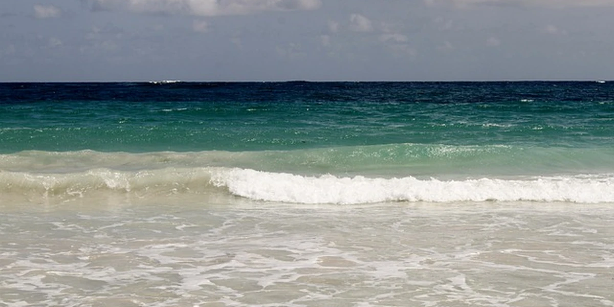 Martinique, Martinique