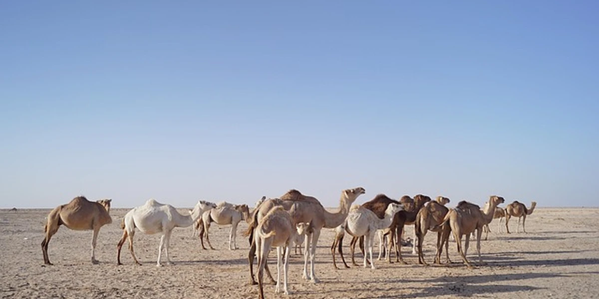 Nouakchott, Mauritania