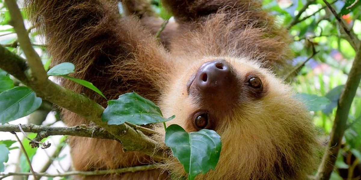 Puerto Viejo, Costa Rica